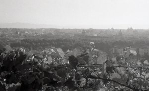 Aamuaurinko Villa Lanten pihalta Roomassa