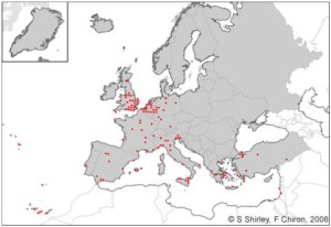 Kuva 2. Kauluspapukaijan levinneisyys Euroopassa