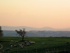 Runoilija Horatiuksen Venusian (nyk. Venosa) synnyinseuduilla. Näkymä maaseudulla sijainneen majatalomme takapihasta.